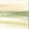 Green Water by Chris Paschke 14" x 14" Canvas Wall Art (Set of 2)